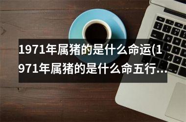 1971年属猪的是什么命运(1971年属猪的是什么命五行缺什么)