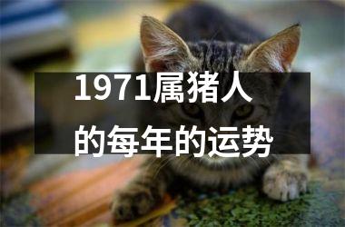 1971属猪人的每年的运势