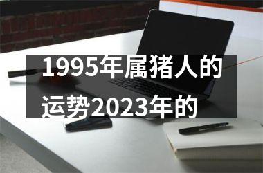 1995年属猪人的运势2025年的