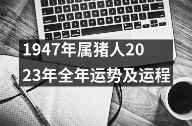 1947年属猪人2025年全年运势及运程