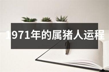 1971年的属猪人运程