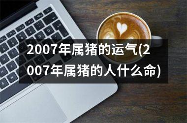 <h3>2007年属猪的运气(2007年属猪的人什么命)