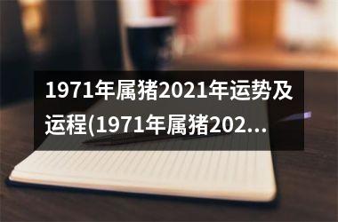 1971年属猪2025年运势及运程(1971年属猪2025年运程)