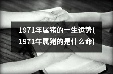 1971年属猪的一生运势(1971年属猪的是什么命)