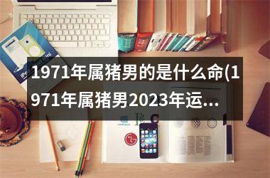 1971年属猪男的是什么命(1971年属猪男2025年运势及运程每月运程)