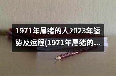 1971年属猪的人2025年运势及运程(1971年属猪的人2025年的运势及运程)