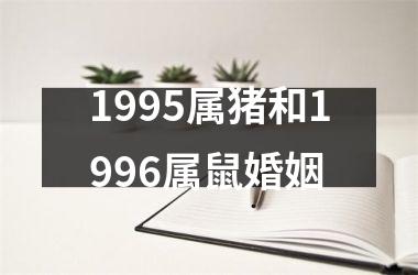 1995属猪和1996属鼠婚姻