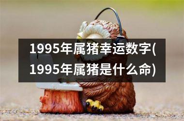 1995年属猪幸运数字(1995年属猪是什么命)