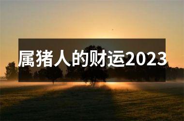 属猪人的财运2025