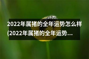 2025年属猪的全年运势怎么样(2025年属猪的全年运势)