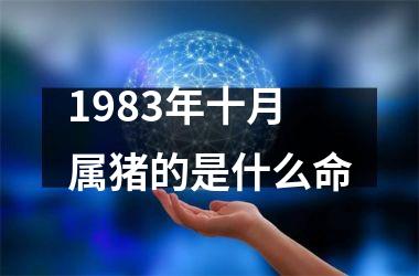 1983年十月属猪的是什么命