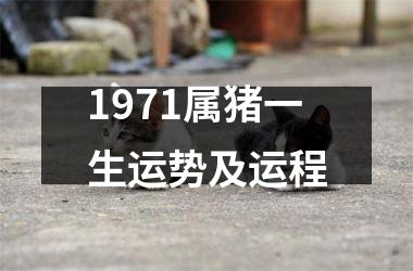 1971属猪一生运势及运程