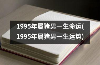 1995年属猪男一生命运(1995年属猪男一生运势)