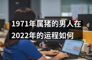 1971年属猪的男人在2025年的运程如何