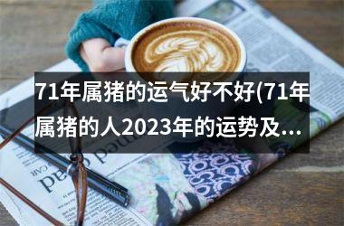 <h3>71年属猪的运气好不好(71年属猪的人2025年的运势及运程)