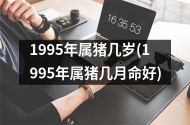 1995年属猪几岁(1995年属猪几月命好)