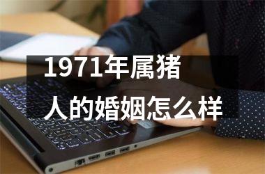 1971年属猪人的婚姻怎么样