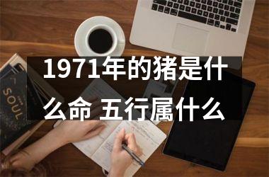 1971年的猪是什么命 五行属什么