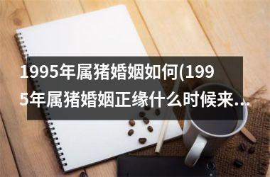 <h3>1995年属猪婚姻如何(1995年属猪婚姻正缘什么时候来到)