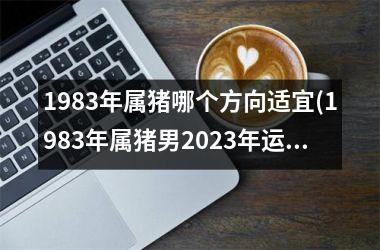 1983年属猪哪个方向适宜(1983年属猪男2025年运势及运程每月运程)