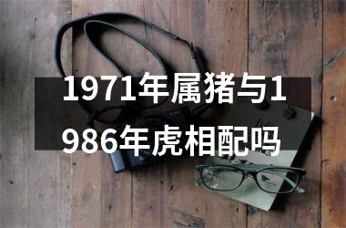 1971年属猪与1986年虎相配吗