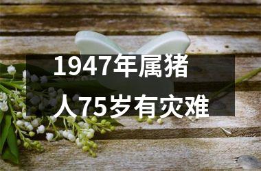 1947年属猪人75岁有灾难