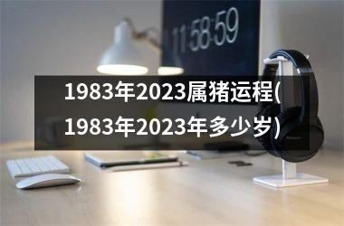 <h3>1983年2025属猪运程(1983年2025年多少岁)