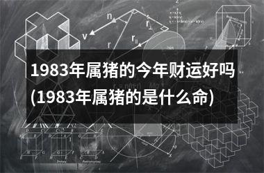 <h3>1983年属猪的今年财运好吗(1983年属猪的是什么命)