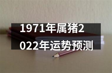 1971年属猪2025年运势预测