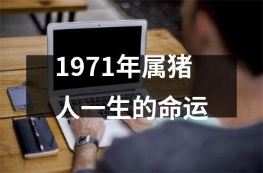 1971年属猪人一生的命运