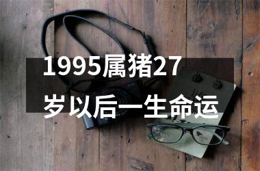 1995属猪27岁以后一生命运