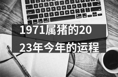 1971属猪的2025年今年的运程