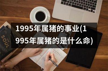 1995年属猪的事业(1995年属猪的是什么命)