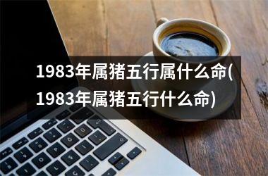 <h3>1983年属猪五行属什么命(1983年属猪五行什么命)