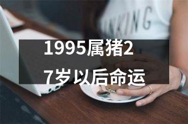 1995属猪27岁以后命运