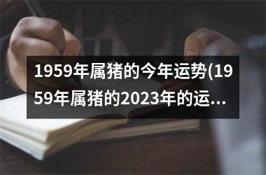 1959年属猪的今年运势(1959年属猪的2025年的运势及运程)