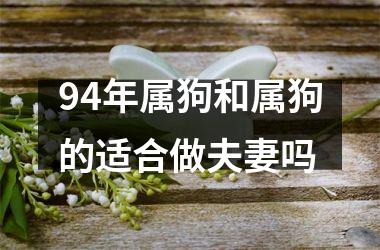 <h3>94年属狗和属狗的适合做夫妻吗