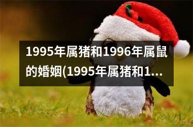 <h3>1995年属猪和1996年属鼠的婚姻(1995年属猪和1996年属鼠相配吗)