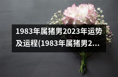 1983年属猪男2025年运势及运程(1983年属猪男2025年运势及运程每月运程)