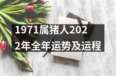 <h3>1971属猪人2025年全年运势及运程