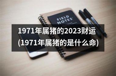 <h3>1971年属猪的2023财运(1971年属猪的是什么命)