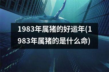 1983年属猪的好运年(1983年属猪的是什么命)