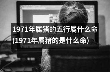 1971年属猪的五行属什么命(1971年属猪的是什么命)