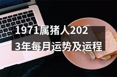 1971属猪人2025年每月运势及运程