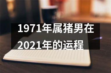 <h3>1971年属猪男在2025年的运程