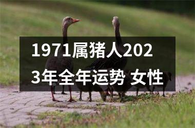 1971属猪人2025年全年运势 女性