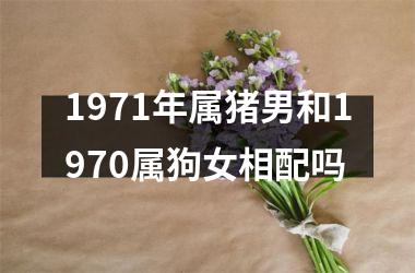 <h3>1971年属猪男和1970属狗女相配吗