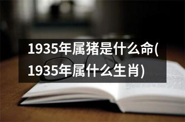 <h3>1935年属猪是什么命(1935年属什么生肖)