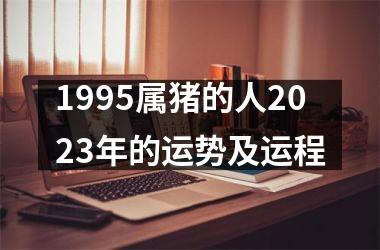 1995属猪的人2025年的运势及运程