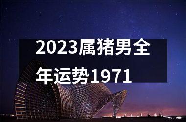 <h3>2025属猪男全年运势1971